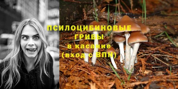 бутират Остров