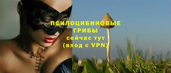 ПСИЛОЦИБИНОВЫЕ ГРИБЫ Осташков