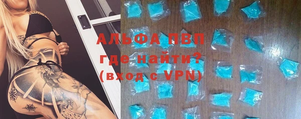 ПСИЛОЦИБИНОВЫЕ ГРИБЫ Осташков