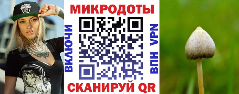 как найти закладки  Курган  Галлюциногенные грибы мухоморы 