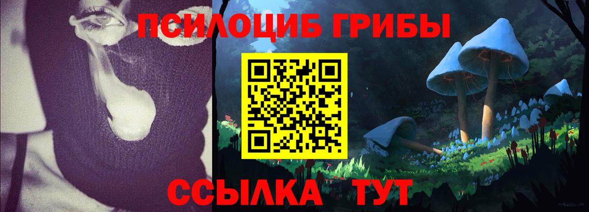 Галлюциногенные грибы Psilocybe  Вход с VPN  Курган 