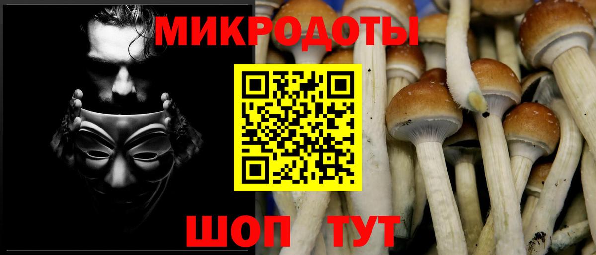 Псилоцибиновые грибы MAGIC MUSHROOMS Курган